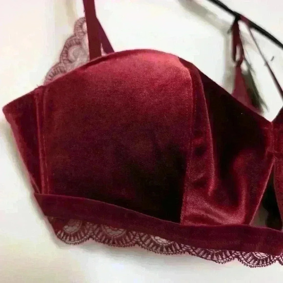 Abs Gatsby velvet bralette bnwt size L - Picture 4 of 8